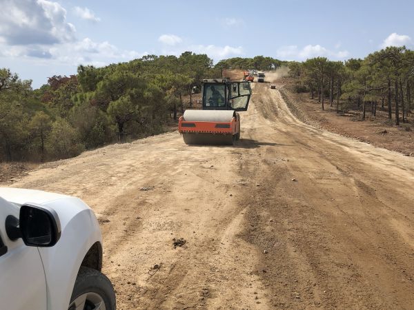 Cost of Driveway Grading in Worcester