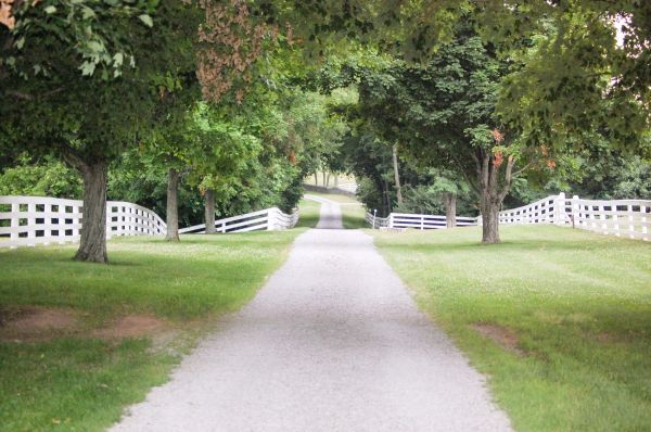 Cost of Road Installation in Worcester