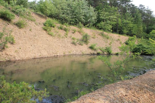 Cost of Pond Erosion Repair in Worcester