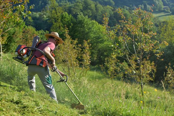 Cost of Slope Trimming in Worcester